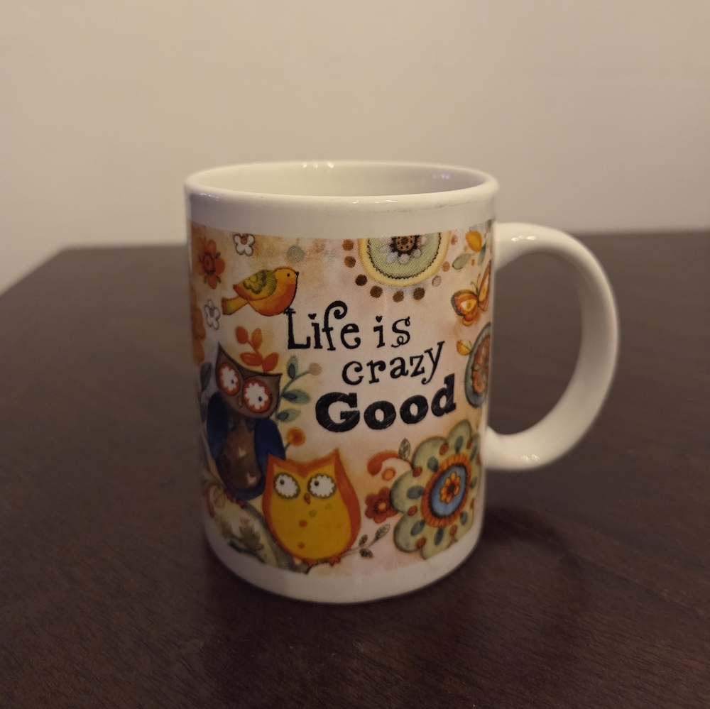 Whimsical Owl Mug with Uplifting Message